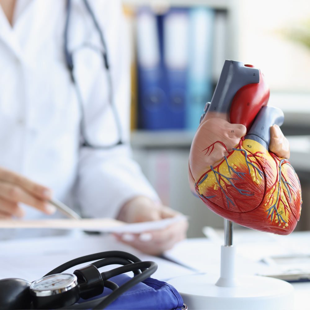 medecho-kardiolog-04